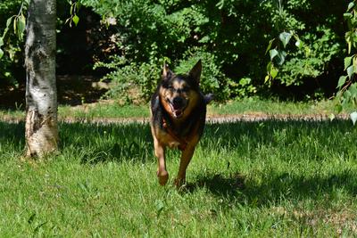 /images/2021-06-16-amy-stoffi-huzo/M9F_8892_v2.thumbnail.JPG