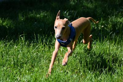 /images/2021-06-16-amy-stoffi-huzo/M9F_8900_v2.thumbnail.JPG