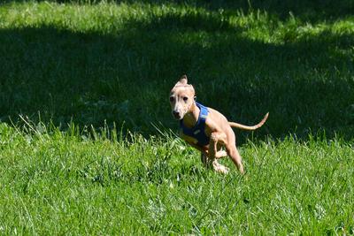 /images/2021-06-16-amy-stoffi-huzo/M9F_8905_v2.thumbnail.JPG