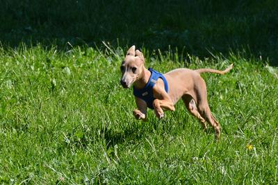/images/2021-06-16-amy-stoffi-huzo/M9F_8906_v2.thumbnail.JPG