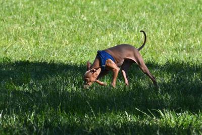 /images/2021-06-16-amy-stoffi-huzo/M9F_8911_v2.thumbnail.JPG