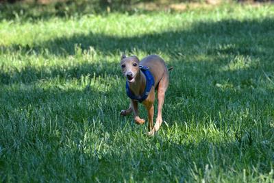 /images/2021-06-16-amy-stoffi-huzo/M9F_8917_v2.thumbnail.JPG