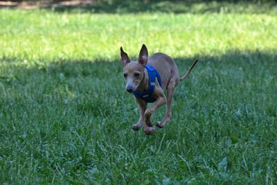 /images/2021-06-16-amy-stoffi-huzo/M9F_8922_v2.thumbnail.JPG