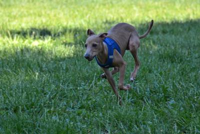 /images/2021-06-16-amy-stoffi-huzo/M9F_8923_v2.thumbnail.JPG