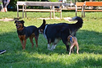 /images/2021-06-16-amy-stoffi-huzo/M9F_8930_v2.thumbnail.JPG