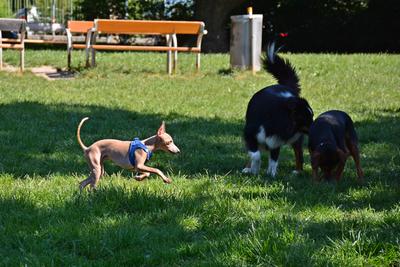 /images/2021-06-16-amy-stoffi-huzo/M9F_8932_v2.thumbnail.JPG