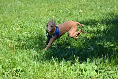 /images/2021-06-16-amy-stoffi-huzo/M9F_8937_v2.thumbnail.JPG