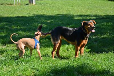 /images/2021-06-16-amy-stoffi-huzo/M9F_8939_v2.thumbnail.JPG