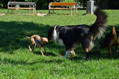 /images/2021-06-16-amy-stoffi-huzo/M9F_8941_v2.thumbnail.JPG