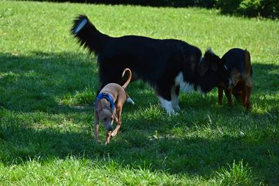 /images/2021-06-16-amy-stoffi-huzo/M9F_8943_v2.thumbnail.JPG