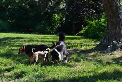 /images/2021-06-16-amy-stoffi-huzo/M9F_8945_v2.thumbnail.JPG