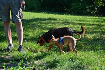 /images/2021-06-16-amy-stoffi-huzo/M9F_8946_v2.thumbnail.JPG