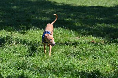 /images/2021-06-16-amy-stoffi-huzo/M9F_8947_v2.thumbnail.JPG