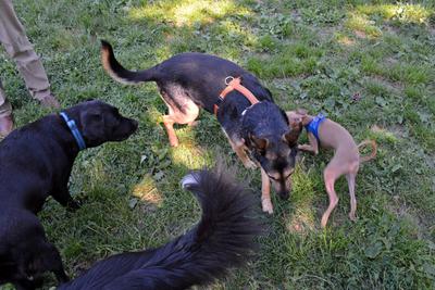 /images/2021-06-16-amy-stoffi-huzo/M9F_8949_v2.thumbnail.JPG