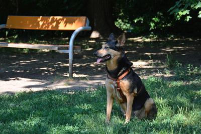 /images/2021-06-16-amy-stoffi-huzo/M9F_8954_v2.thumbnail.JPG