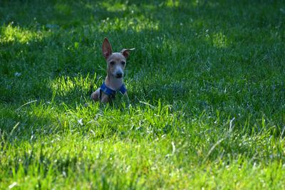 /images/2021-06-16-amy-stoffi-huzo/M9F_8955_v2.thumbnail.JPG