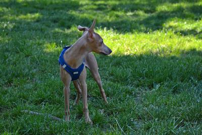 /images/2021-06-16-amy-stoffi-huzo/M9F_8957_v2.thumbnail.JPG