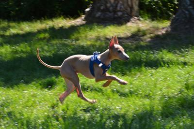/images/2021-06-16-amy-stoffi-huzo/M9F_8958_v2.thumbnail.JPG