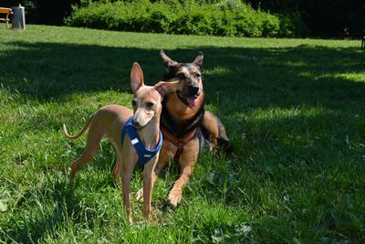 /images/2021-06-16-amy-stoffi-huzo/M9F_8960_v2.thumbnail.JPG