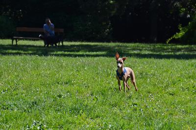 /images/2021-06-16-amy-stoffi-huzo/M9F_8962_v2.thumbnail.JPG