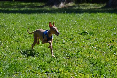 /images/2021-06-16-amy-stoffi-huzo/M9F_8963_v2.thumbnail.JPG