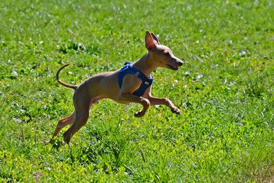 /images/2021-06-16-amy-stoffi-huzo/M9F_8964_v2.thumbnail.JPG
