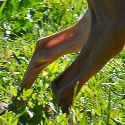 /images/2021-06-16-amy-stoffi-huzo/M9F_8964_v3.thumbnail.JPG
