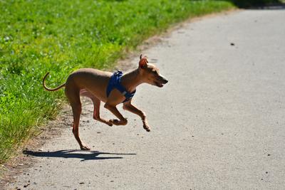 /images/2021-06-16-amy-stoffi-huzo/M9F_8965_v2.thumbnail.JPG