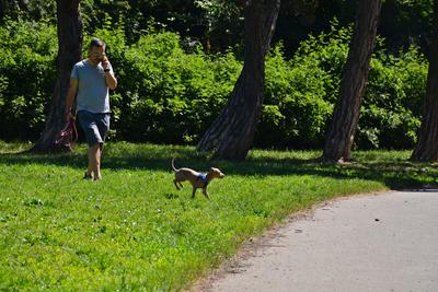 /images/2021-06-16-amy-stoffi-huzo/M9F_8968_v2.thumbnail.JPG