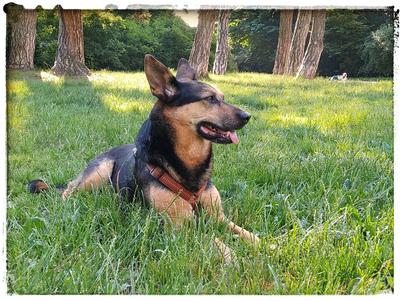 /images/2021-06-25-amy-tony-stoffy-huzo/IMG_20210620_082814192-01.thumbnail.jpeg