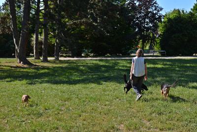 /images/2021-06-25-amy-tony-stoffy-huzo/M9F_8981_v2.thumbnail.JPG