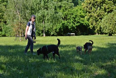/images/2021-06-25-amy-tony-stoffy-huzo/M9F_8982_v2.thumbnail.JPG