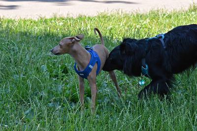 /images/2021-06-25-amy-tony-stoffy-huzo/M9F_8985_v2.thumbnail.JPG