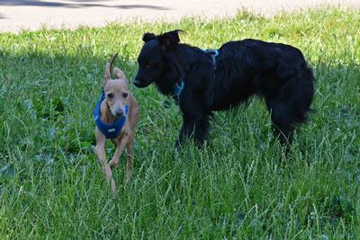 /images/2021-06-25-amy-tony-stoffy-huzo/M9F_8986_v2.thumbnail.JPG
