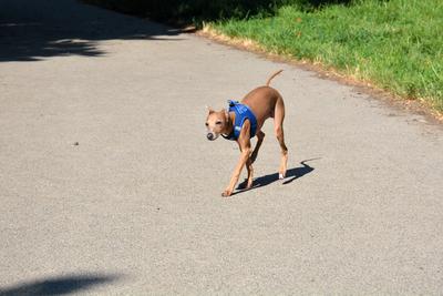 /images/2021-06-25-amy-tony-stoffy-huzo/M9F_8989_v2.thumbnail.JPG