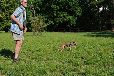 /images/2021-06-25-amy-tony-stoffy-huzo/M9F_8991_v2.thumbnail.JPG