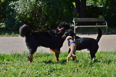 /images/2021-06-25-amy-tony-stoffy-huzo/M9F_9009_v2.thumbnail.JPG
