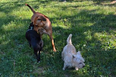 /images/2021-06-25-amy-tony-stoffy-huzo/M9F_9011_v2.thumbnail.JPG