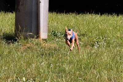 /images/2021-06-25-amy-tony-stoffy-huzo/M9F_9031_v2.thumbnail.JPG