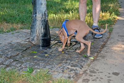 /images/2021-06-25-amy-tony-stoffy-huzo/M9F_9046_v2.thumbnail.JPG