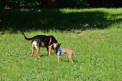 /images/2021-06-25-amy-tony-stoffy-huzo/M9F_9049_v2.thumbnail.JPG