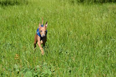 /images/2021-06-25-amy-tony-stoffy-huzo/M9F_9052_v2.thumbnail.JPG