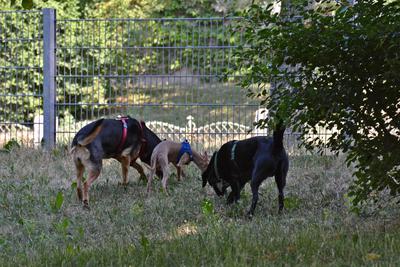 /images/2021-06-25-amy-tony-stoffy-huzo/M9F_9054_v2.thumbnail.JPG