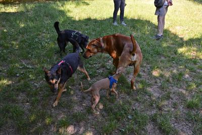 /images/2021-06-25-amy-tony-stoffy-huzo/M9F_9055_v2.thumbnail.JPG