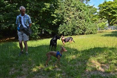 /images/2021-06-25-amy-tony-stoffy-huzo/M9F_9068_v2.thumbnail.JPG