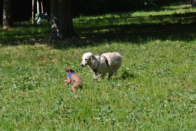 /images/2021-06-25-amy-tony-stoffy-huzo/M9F_9069_v2.thumbnail.JPG