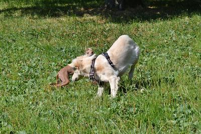 /images/2021-06-25-amy-tony-stoffy-huzo/M9F_9070_v2.thumbnail.JPG
