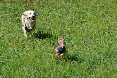 /images/2021-06-25-amy-tony-stoffy-huzo/M9F_9071_v2.thumbnail.JPG
