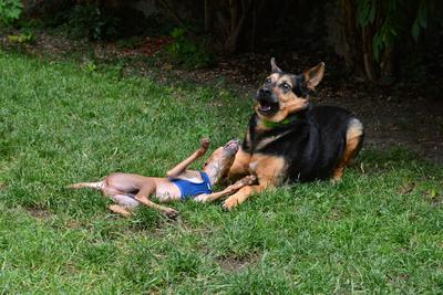 /images/2021-06-30-hunde-im-hof/M9F_9330_v2.thumbnail.JPG