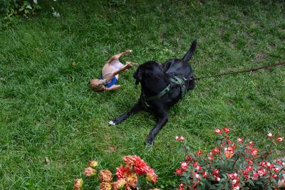 /images/2021-06-30-hunde-im-hof/M9F_9442_v2.thumbnail.JPG